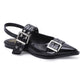 Black pointed-toe flat with buckles on a white background
