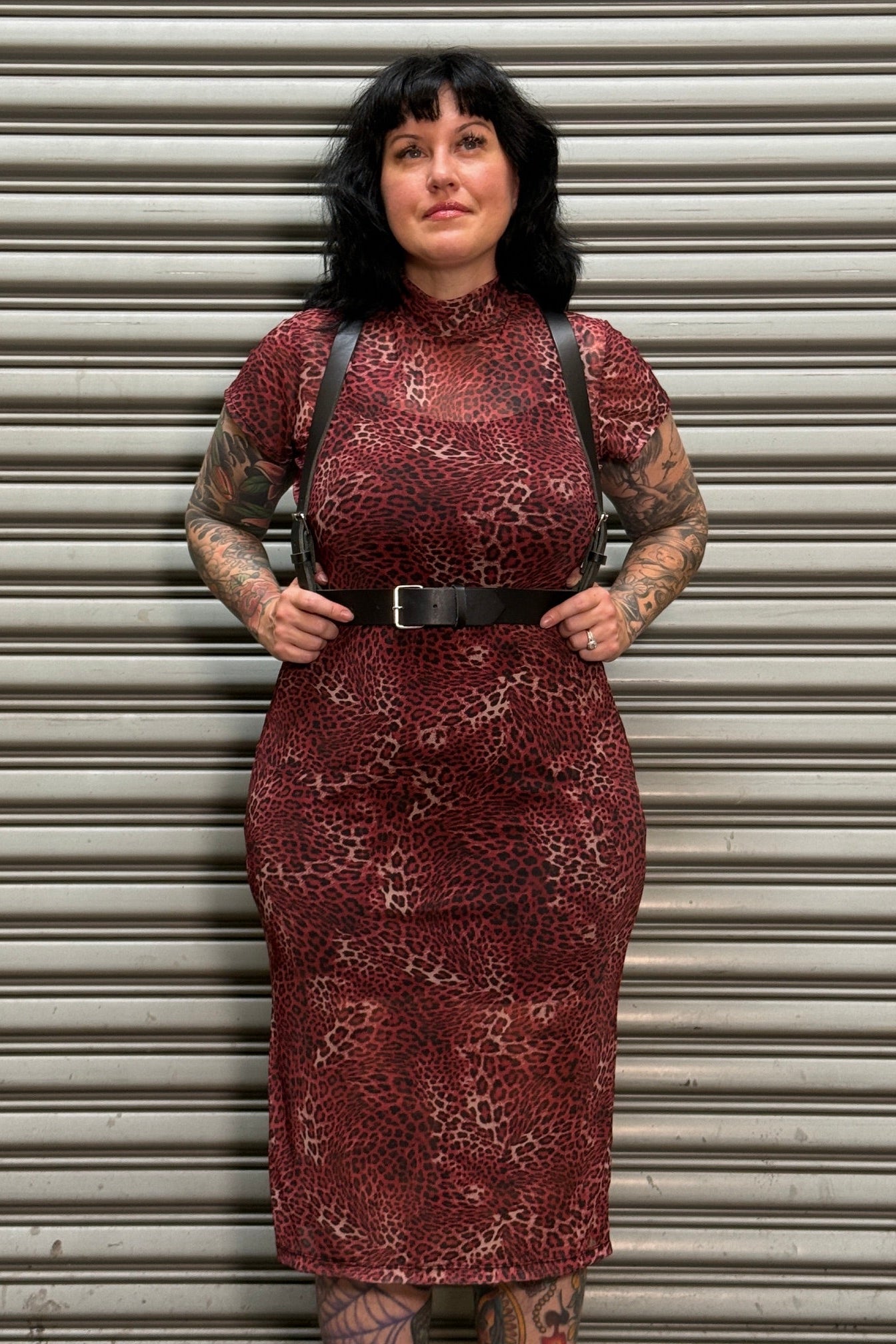 Crimson Spell Mesh Dress
